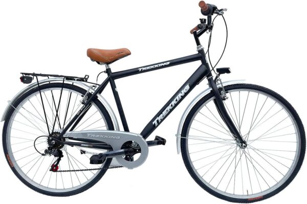 Bicicletta Uomo Passeggio Misura 28 Bici Da Città Con Cambio Nero Vintage Retrò