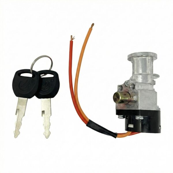 Kit Chiave Cilindretto Batteria E-Bike Blocchetto Serratura Fat Bike Completo di Cavi