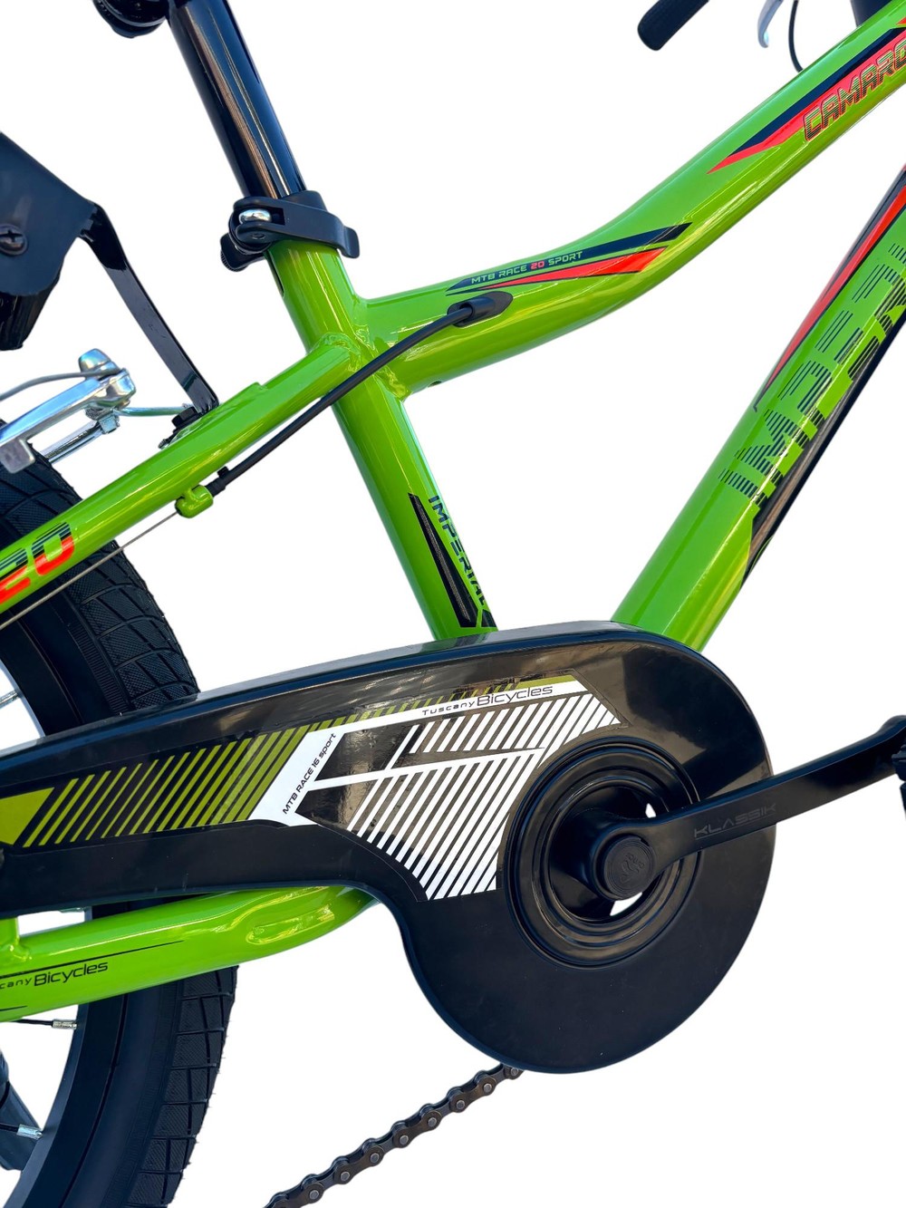 Bicicletta Bambino Da Passeggio Misura 20 Bici Verde Con Cambio Da 6 A 8 Anni - immagine 4