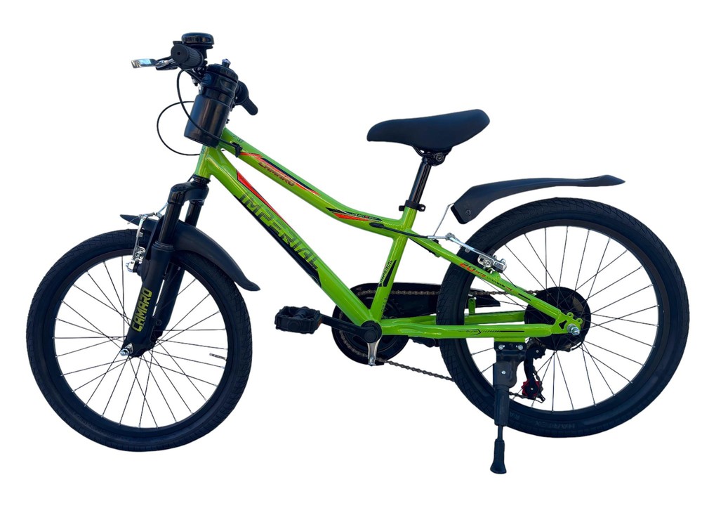 Bicicletta Bambino Da Passeggio Misura 20 Bici Verde Con Cambio Da 6 A 8 Anni - immagine 8