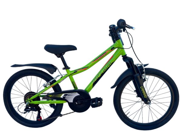 Bicicletta Bambino Da Passeggio Misura 20 Bici Verde Con Cambio Da 6 A 8 Anni