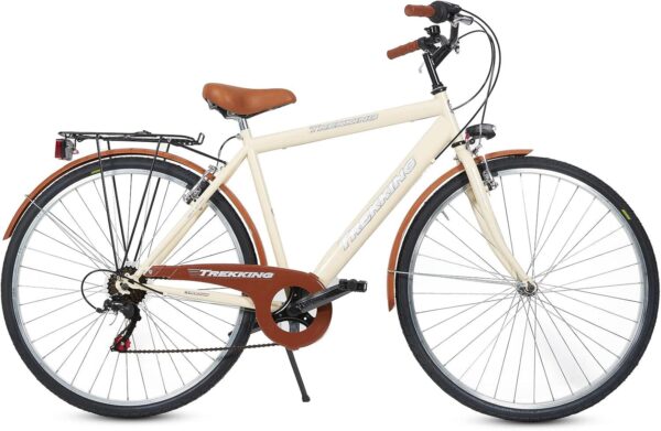 Bicicletta Uomo Passeggio Misura 28 Bici Da Città Con Cambio Beige Vintage Retrò
